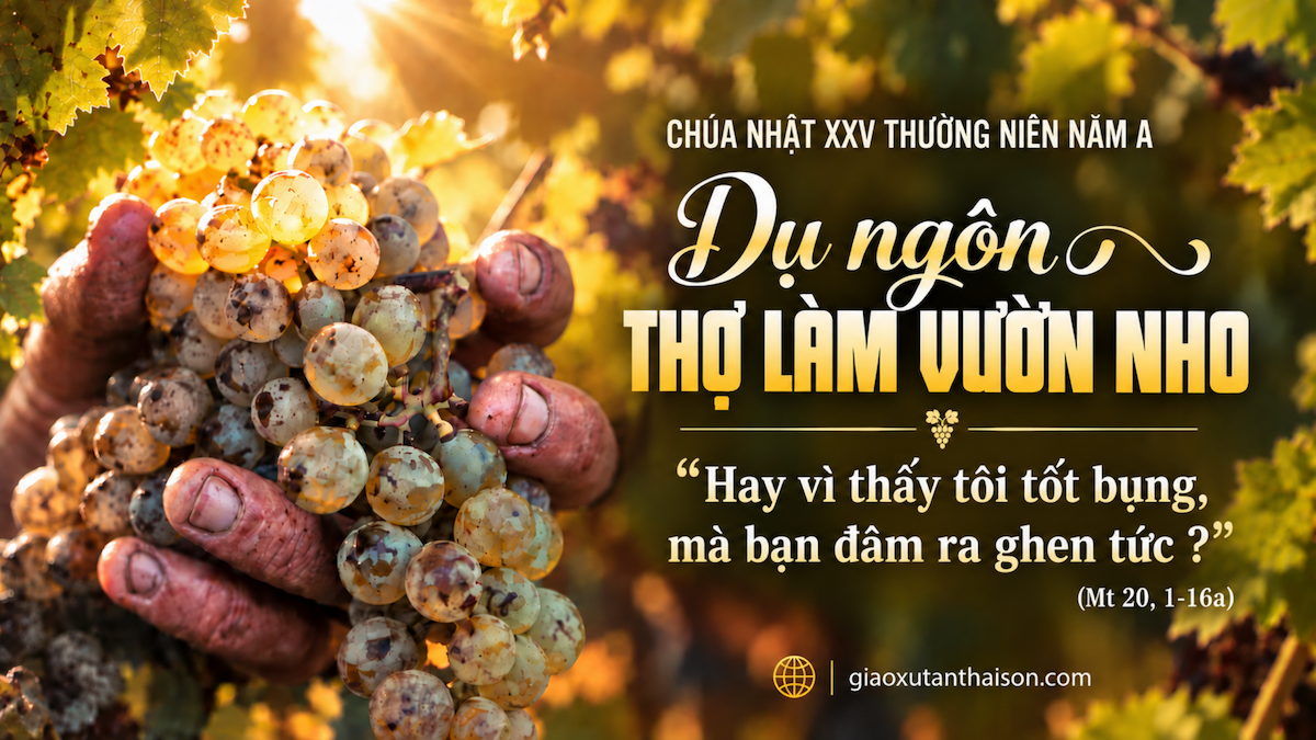 chua nhat 25 thuong nien nam a mt 20 1 16a cn 208