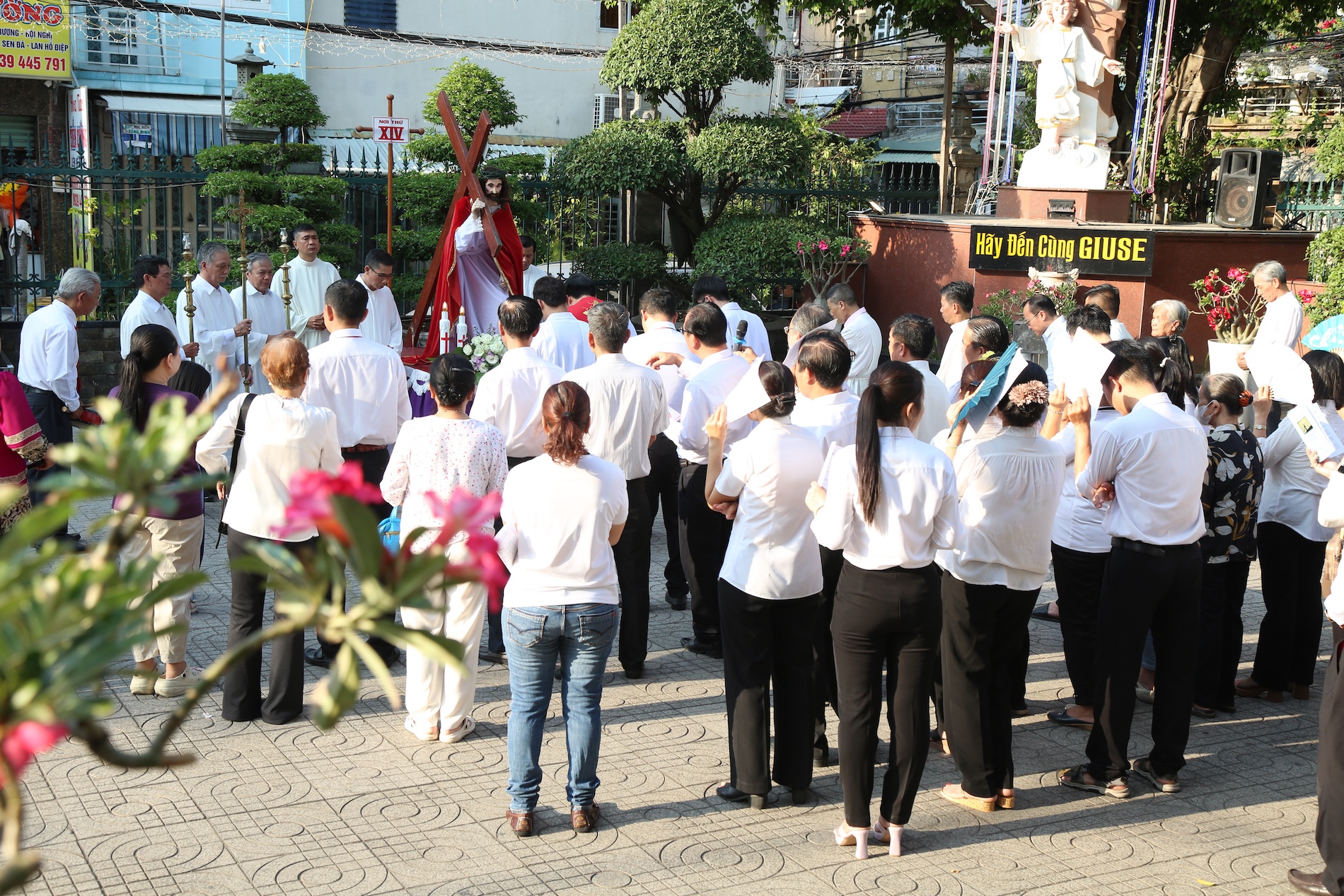 dang thanh gia thu sau tuan thanh 15